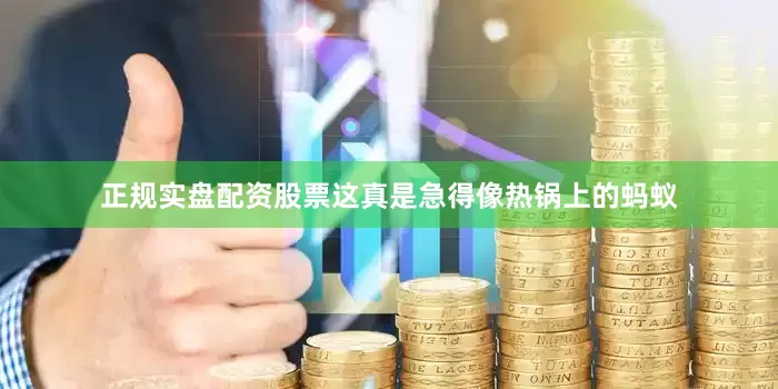 正规实盘配资股票这真是急得像热锅上的蚂蚁