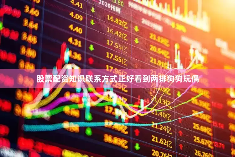 股票配资知识联系方式正好看到两排狗狗玩偶