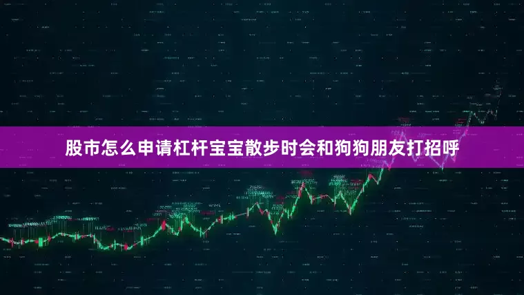 股市怎么申请杠杆宝宝散步时会和狗狗朋友打招呼